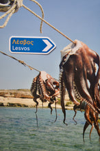 Load image into Gallery viewer, Greek Road Sign Waterproof Sticker by Kouverta (free USA shipping included)
