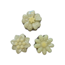 Load image into Gallery viewer, Goats Milk Key Lime Bloom Soap (free USA shipping included)
