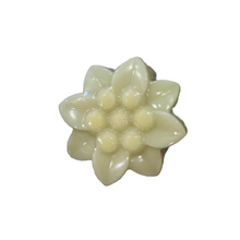 Load image into Gallery viewer, Goats Milk Key Lime Bloom Soap (free USA shipping included)
