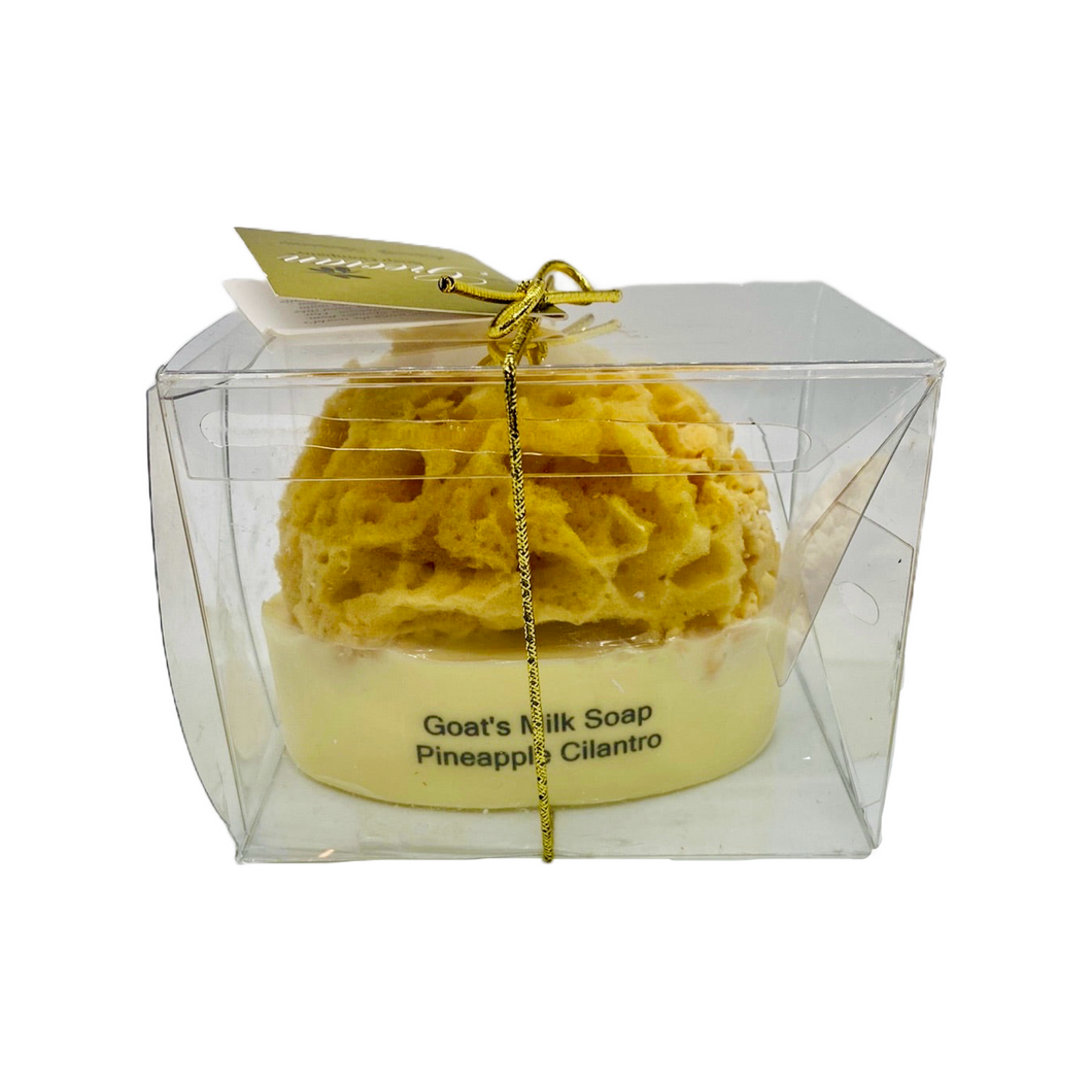 Goats Milk Embedded Sea Sponge Soap (free USA shipping included)