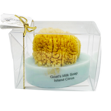 Load image into Gallery viewer, Goats Milk Embedded Sea Sponge Soap (free USA shipping included)
