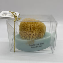 Load image into Gallery viewer, Goats Milk Embedded Sea Sponge Soap (free USA shipping included)
