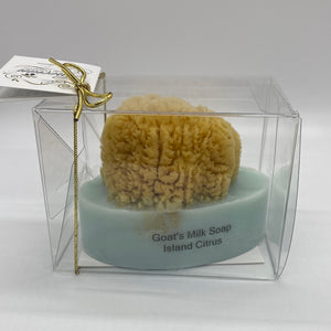Goats Milk Embedded Sea Sponge Soap (3 scent choices)