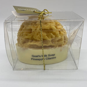 Goats Milk Embedded Sea Sponge Soap (Multiple scent choices)